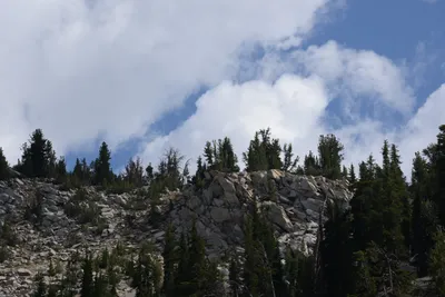 DSC_3142 (Large).JPG